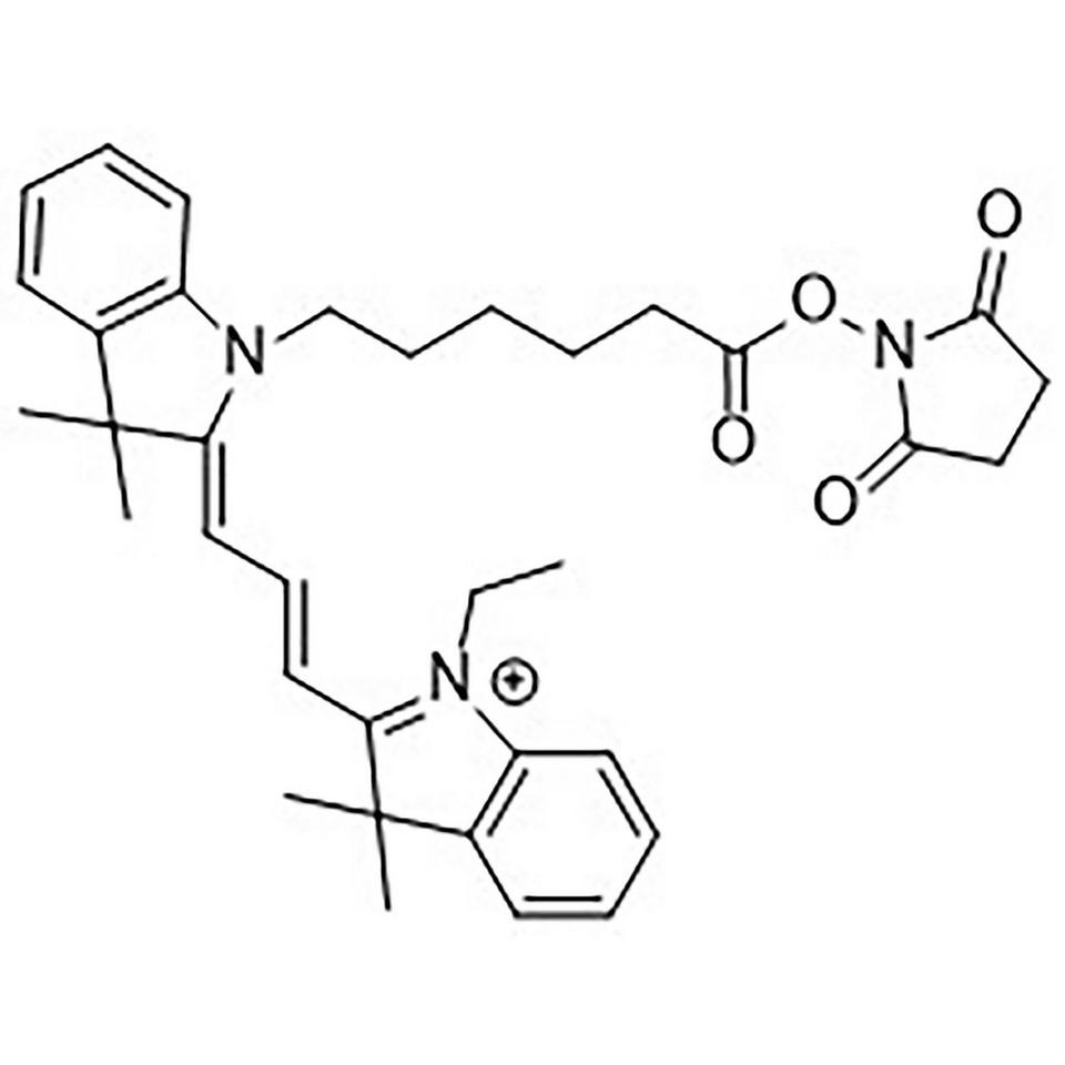 Quasar 570 Carboxylic Acid, Succinimidyl Ester